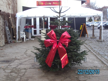 Nordmanntannen, Weihnachtsbaumverkauf in Dresden Theresienstraße (ehemals Theresienhof)