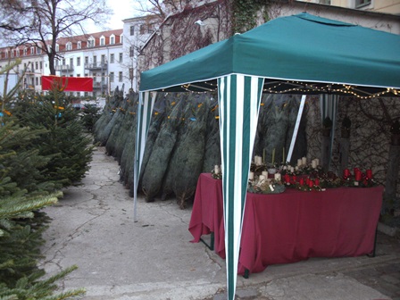 Weihnachtsgestecke, Accessoires und Weihnachtsbaumverkauf in Dresden Theresienstraße (ehemals Theresienhof)